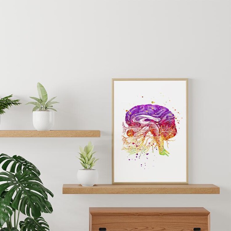Human Brain Anatomy Art Print, Cranial Nerves Watercolor Poster, Doctor ...