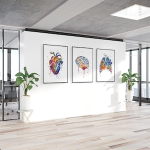 Può includere: Tre dipinti ad acquerello incorniciati di organi umani. I dipinti sono in stile moderno e presentano un cuore, un cervello e i polmoni. I dipinti sono appesi a una parete bianca in un ufficio moderno.