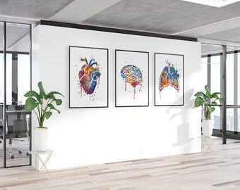 Decoración de consultorio médico, conjunto de 3 impresiones artísticas de anatomía en acuarela, carteles anatómicos multicolores de cerebro humano, corazón y pulmones, decoración de clínica