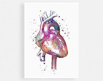 Anatomical Heart Watercolor Print Anatomy Art Doctor Office Decor Cardiology Nurse Gift Medical Poster