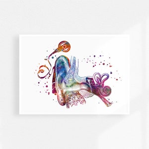 Cochlea implant, audiology art watercolorprint, Hearing loss treatment, Speech therapy