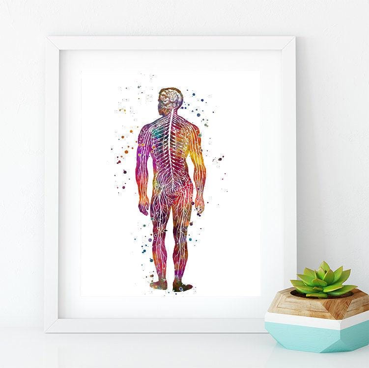 Human Body Nervous System Anatomy Art Watercolor Print Neurologist ...