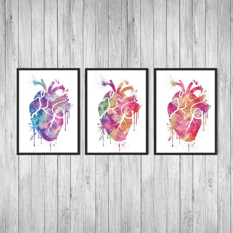 Human Heart Print Set Anatomy Art Watercolor Heart Set of 3 Prints ...