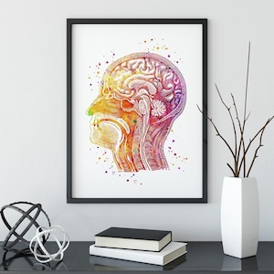 Human Anatomy Head Poster, Longitudinal Section Watercolor Print, Brain medical illustration, School clinic, Doctor office wall art decor