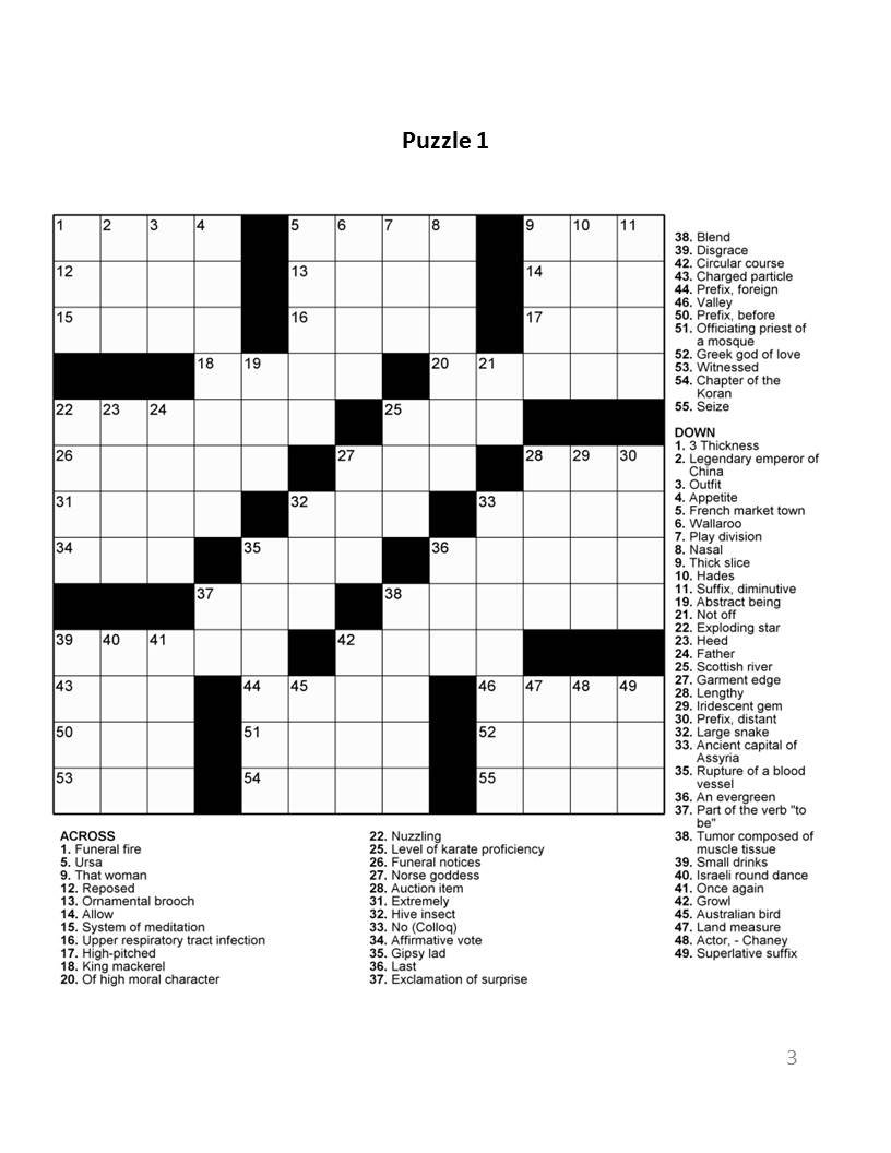 Digital Download 100 Printable Activity Puzzles for Adults ...