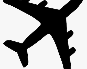 Envío rápido por aire en 2 días