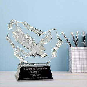 May include: A crystal award with an eagle design. The award has a black base with the text "DANIEL A. CIAMPINO PRESIDENT Board of Directors 2004-2006 Northeastern Association of the Blind at Albany".