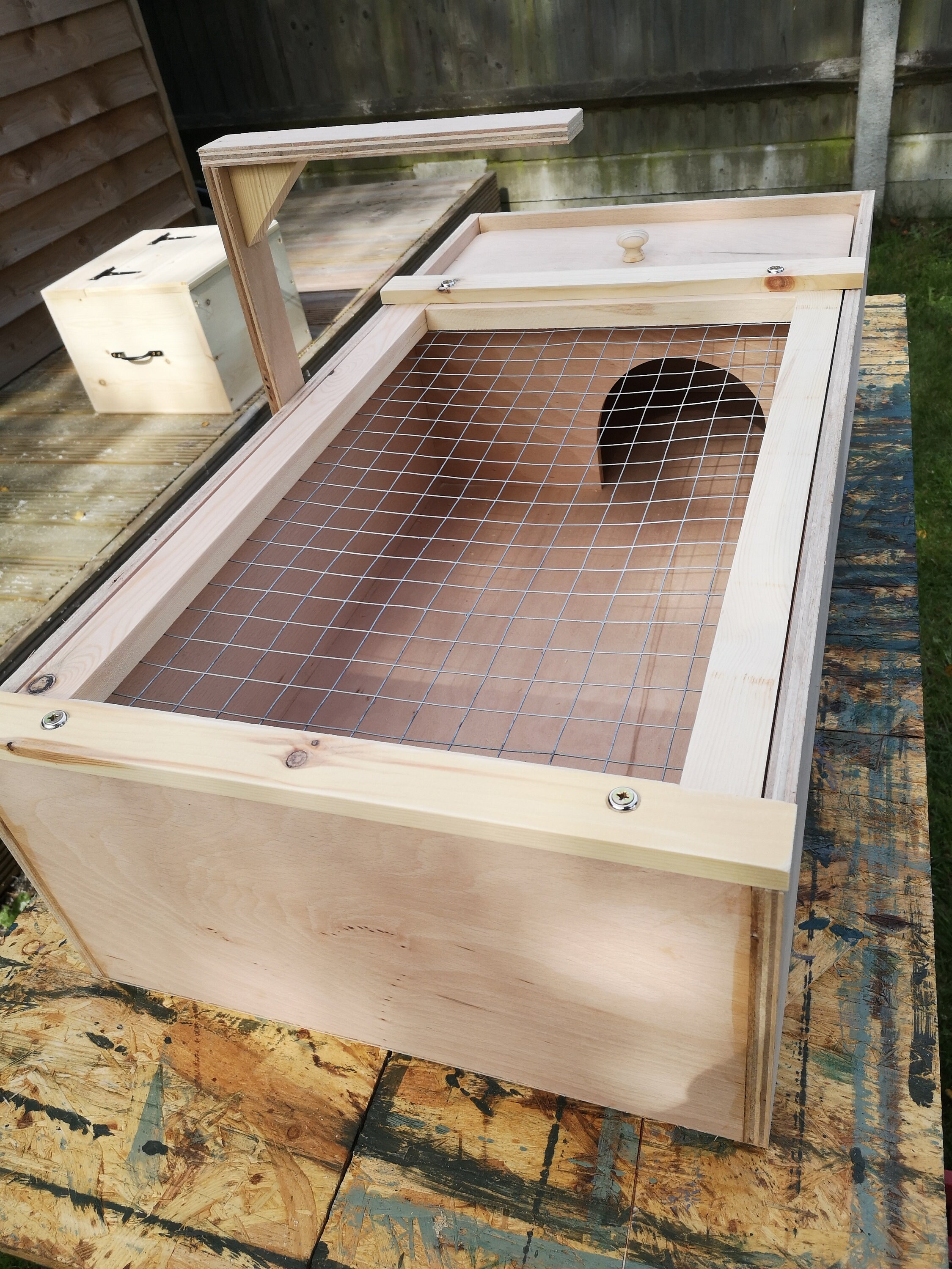 tortoise table and starter kit