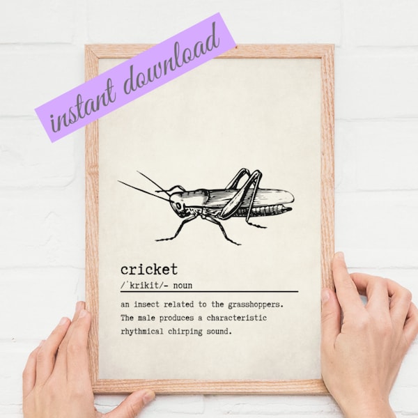 Cricket Art | Dictionary Print | Cricket Definition | Scientist Gift | Science Lover Gift | Science Geek | Entomologist | Insect Wall Art