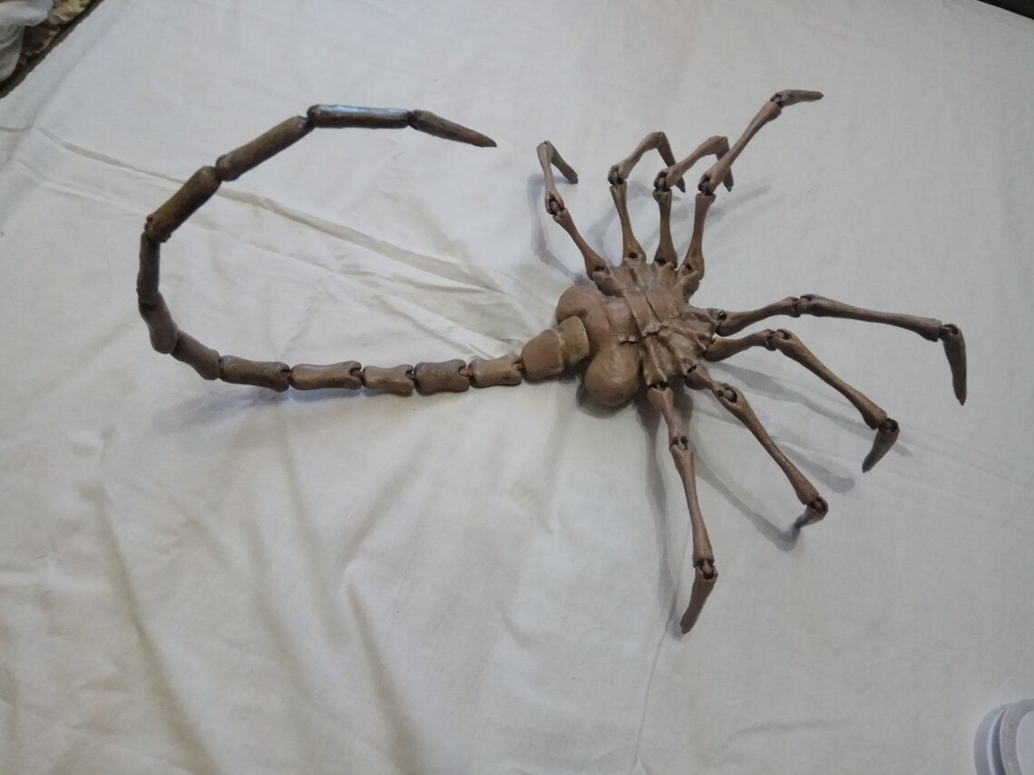 Facehugger real size / Face hugger alien cosplay replica Etsy