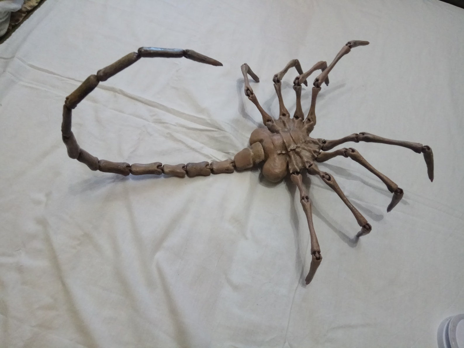 Facehugger real size / Face hugger alien cosplay replica Etsy