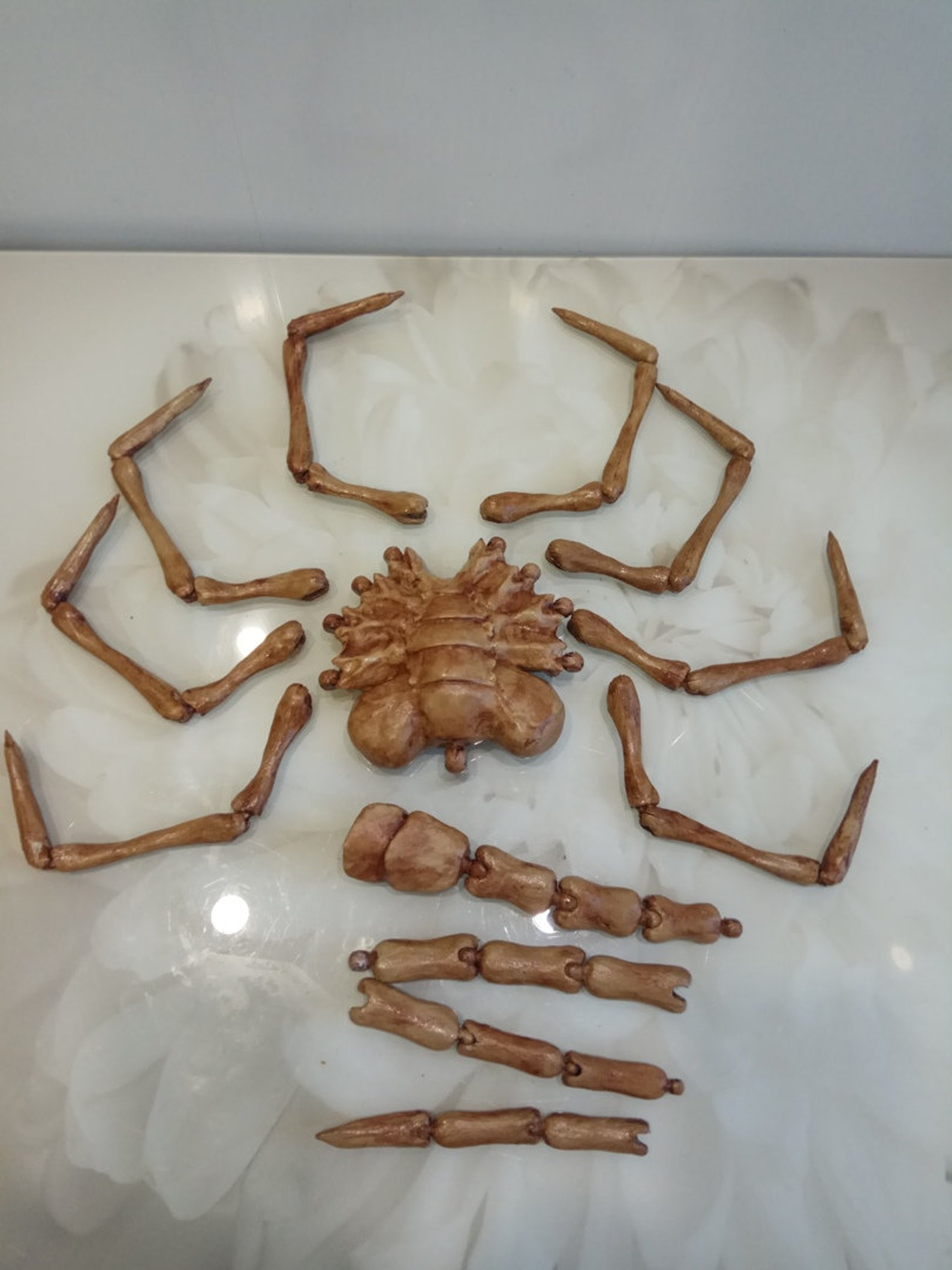 Facehugger real size / Face hugger alien cosplay replica Etsy