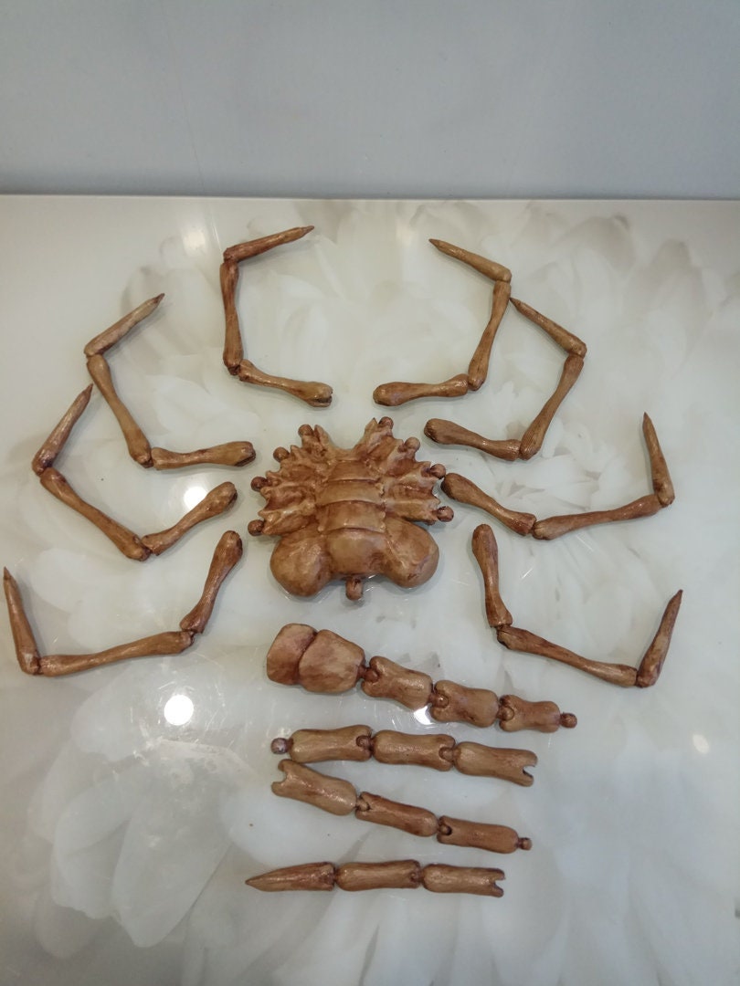 Facehugger real size / Face hugger alien cosplay replica Etsy