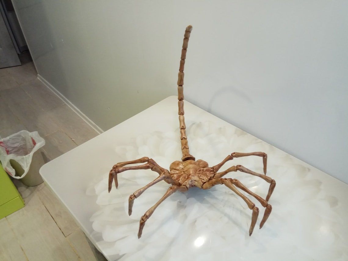 Facehugger real size / Face hugger alien cosplay replica Etsy