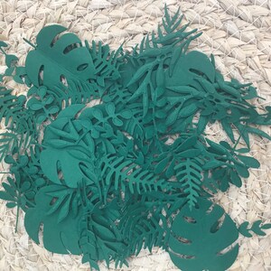 Lot de feuilles tropicales