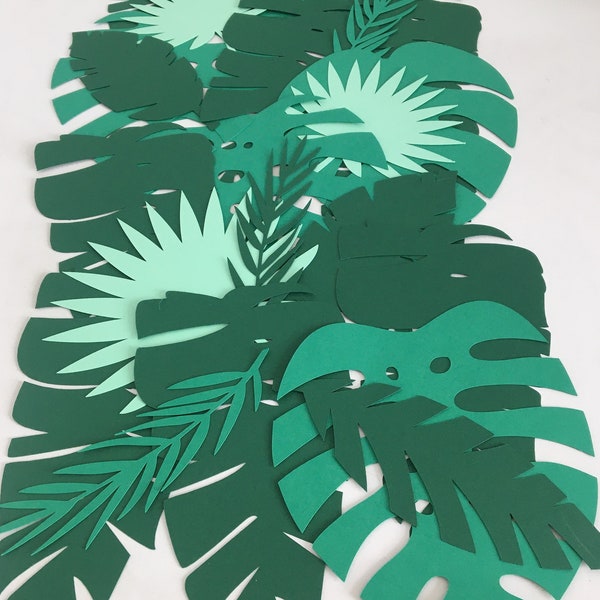 Ensemble de feuilles tropicales