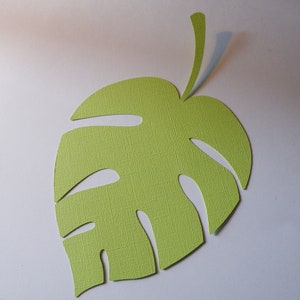 Feuille tropicale verte + autres couleurs