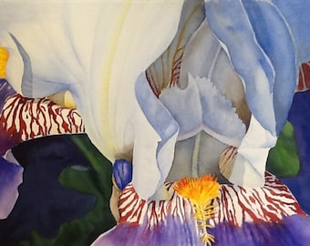 Bicolor Iris, Watercolor Digital Print, Printable Watercolor Art, Botanical Art Print