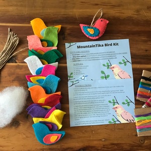 DIY felt bird kit, mother daughter craft kit, make your own bird kit, adult craft kit, baby shower craft kit image 2