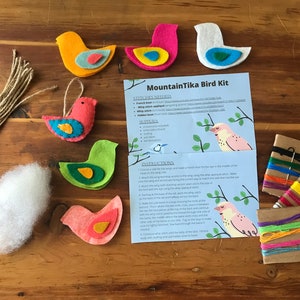 DIY felt bird kit, mother daughter craft kit, make your own bird kit, adult craft kit, baby shower craft kit image 1