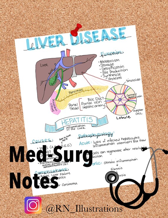 Liver Disease MedSurg Nursing Notes 5 Pages Etsy