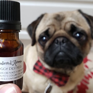 May include: A small brown glass bottle with a black cap and a white label that reads "Scentered Aroma Doggy Destress". The label also includes instructions for use and a warning that the product is not for consumption. A pug dog is in the background, looking at the camera.