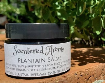 Plantain Salve, bug bite relief, wild harvested, holistic, natural