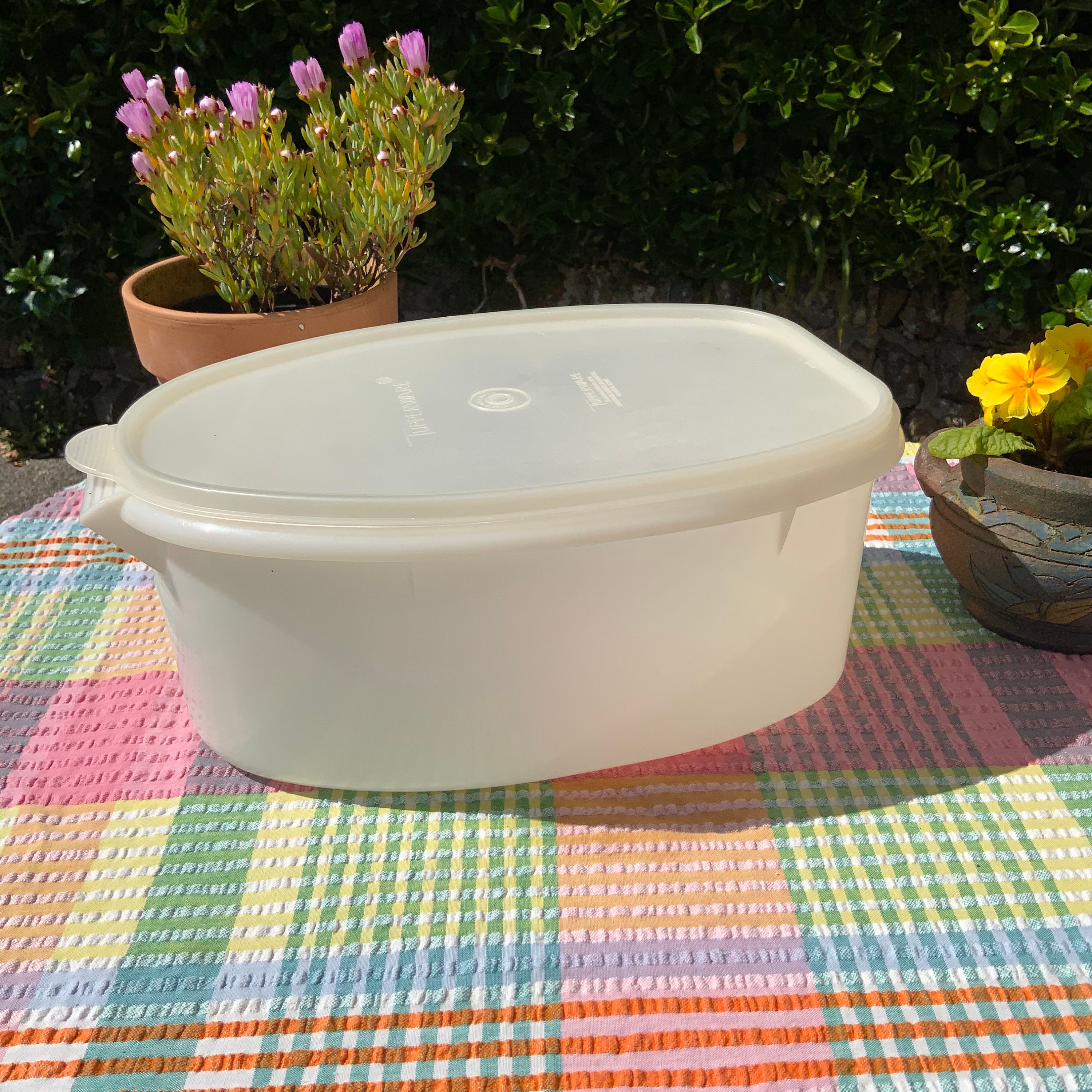 Large Vintage Tupperware 'Roast Flavor Saver' Meat Etsy