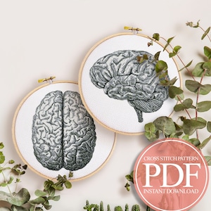 Anatomical Brain Cross Stitch Pattern PDF, Anatomy Cross Stitch, Science Cross Stitch, Medical Cross Stitch, Modern Cross Stitch Pattern