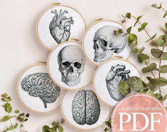 Anatomy Cross Stitch Pattern PDF, Anatomical Heart Cross Stitch, Skull Cross Stitch, Brain Cross Stitch, Vintage Cross Stitch, Modern