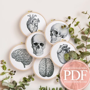 Anatomy Cross Stitch Pattern PDF, Anatomical Heart Cross Stitch, Skull Cross Stitch, Brain Cross Stitch, Vintage Cross Stitch, Modern