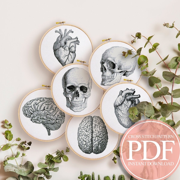 Anatomy Cross Stitch Pattern PDF, Anatomical Heart Cross Stitch, Skull Cross Stitch, Brain Cross Stitch, Vintage Cross Stitch, Modern