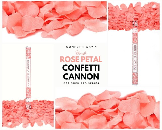 scout casserole carrier