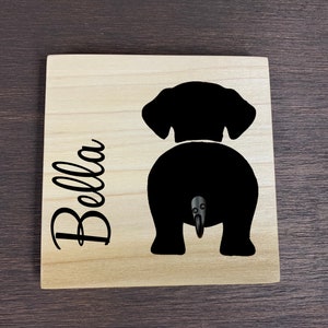 Dog Leash Holder for Wall/ Dog Mom Dog Dad Gift/ Dog Leash Hook/ Leash Hanger/ Personalized Dog/ Mothers Day Fathers Day Gift/Christmas Gift