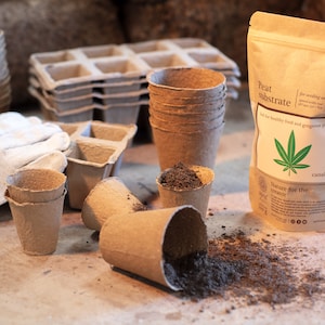 Può includere: Un sacchetto di carta marrone con un'etichetta che recita "Peat Substrate" e "Nature for the creator" con una grafica a foglia di cannabis. Il sacchetto è su una superficie di legno con diversi vasi di carta marrone, alcuni riempiti di terra.