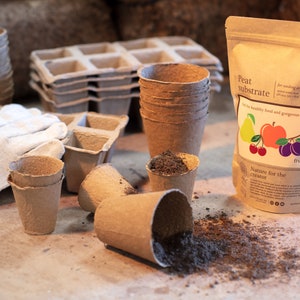 FRUITS / PEAT SUBSTRATE / premium quality soil for seeding and planting fruits / hand made / 100g