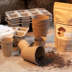 Può includere: Un sacchetto di carta marrone con il testo "Peat substrate" e "mushrooms" stampato su di esso. Il sacchetto è pieno di terra marrone. Ci sono diversi piccoli vasi di carta marrone e un guanto da giardinaggio bianco su una superficie di legno.