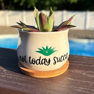 May include: A white ceramic planter with a rounded shape, sitting on a circular bamboo coaster. The planter features a green succulent graphic and the black text "not today succa" printed on the front, containing a green and purple succulent plant.