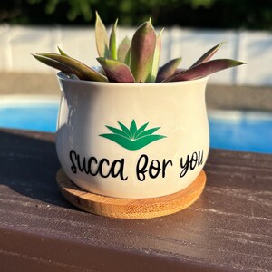 Succa For You | White Ceramic Succulent Pot with Tray | Aloe Cactus Planter | Plant Lover