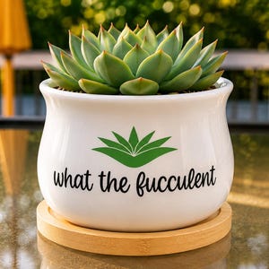 What The Fucculent | White Ceramic Succulent Pot with Tray | Aloe Cactus Planter | Plant Lover