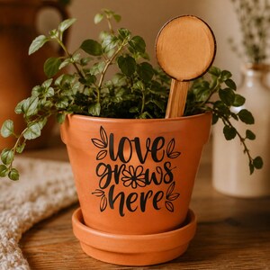 May include: A terracotta plant pot with a matching saucer featuring the black text "love grows here" and a small flower graphic. A green leafy plant grows inside the pot, accompanied by a round wooden plant marker with a blank surface.