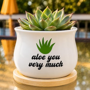 May include: A white ceramic planter with a rounded shape, featuring a green succulent plant inside. The front of the planter displays a green graphic of a plant and the black text "aloe you very much." It sits on a circular light wood base.