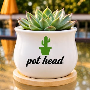 Funny Succulent Planter | Pot Head | Ceramic Pot | Desk Decor