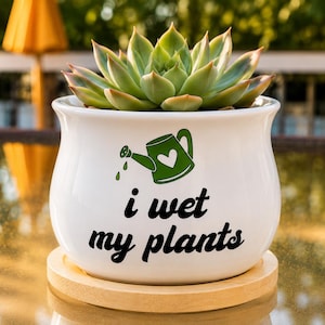 Zabawna doniczka na sukulenty | Moczę moje rośliny | Ceramiczna doniczka | Dekoracja biurka