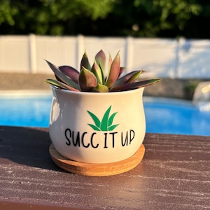 May include: A white ceramic planter with a rounded shape and a bamboo saucer base. The planter features a green graphic of a succulent plant above the black text "SUCC IT UP". A dark-colored succulent plant with pointed leaves sits inside the pot.