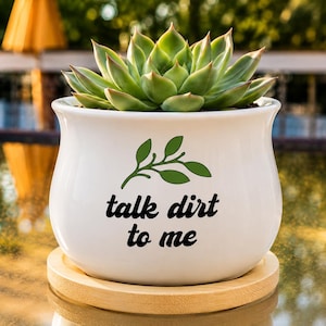 Funny Succulent Planter | Talk Dirt to Me | Ceramic Pot | Desk Decor