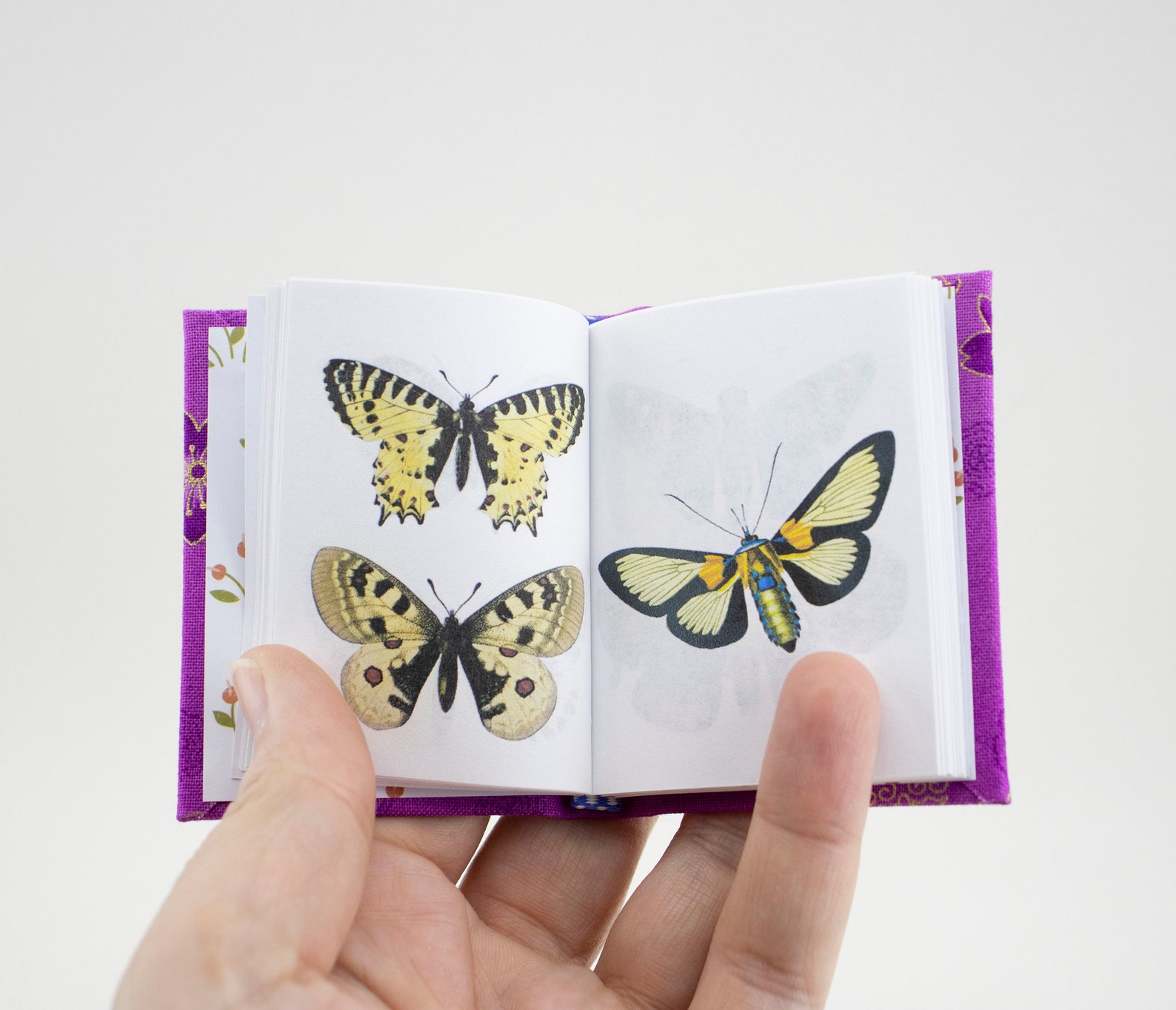 Miniature Book Butterflies Guide Etsy