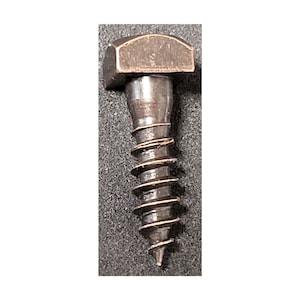May include: Close-up of a dark metal screw with a hexagonal head. The screw has a spiral thread and a pointed end. The screw is likely used for woodworking or construction projects.