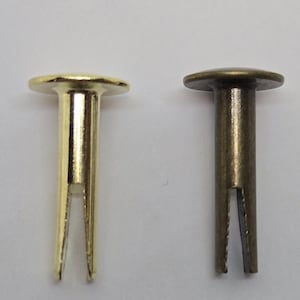 May include: Two metal rivets, one gold and one bronze, with a split shank. The rivets have a round head.