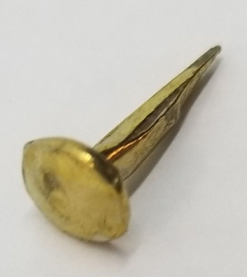 Brass Trunk Nails 1/2 Long 1/4 LB Bag Chest Steamer Etsy